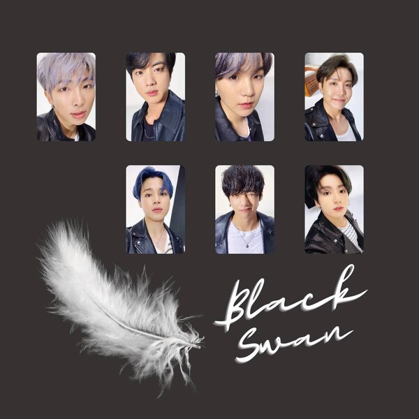 Black Swan Photocards Etsy