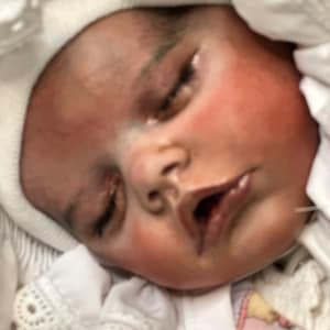 Twin B  Reborn Art Doll Bonnie Brown
