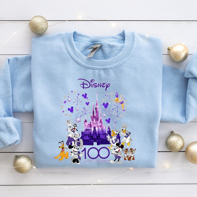 May include: Light blue sweatshirt with a purple and silver graphic of Cinderella's castle, fireworks, and Disney characters. The text "Disney 100 Years of Wonder" is printed below the graphic.