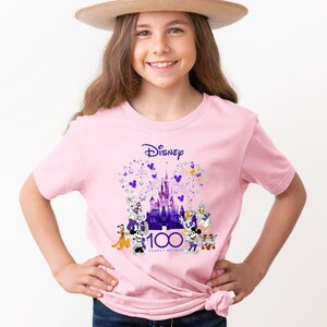 May include: Pink t-shirt with a purple and silver graphic of Cinderella's castle, fireworks, and Disney characters. The text "Disney 100 Years of Wonder" is printed on the shirt.