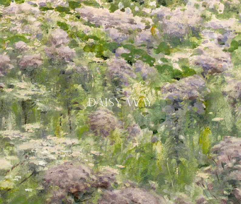 Op de afbeelding: Een aquarel schilderij van een weelderig groen bos met paarse wilde bloemen. De tekst "DAISY WAY" staat in het midden van de afbeelding.