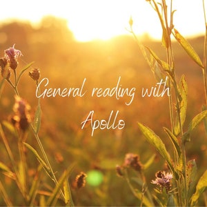 General reading with Apollo
