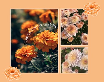 Flowers from your deity