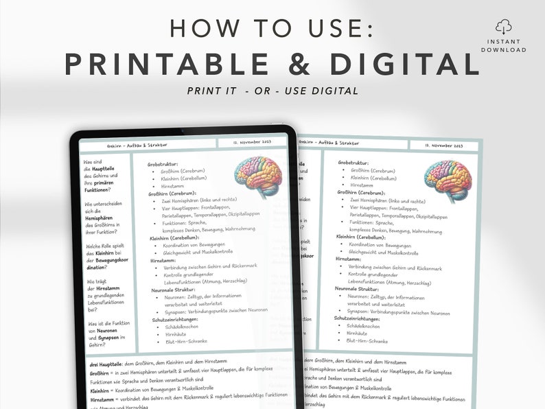 digital template notes Cornell goodnotes