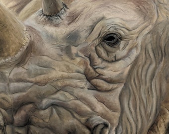 Rhino Pastel Drawing Print