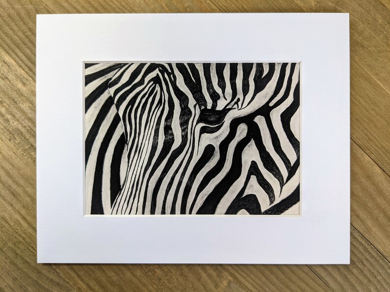 Zebra Charcoal Drawing Print Etsy