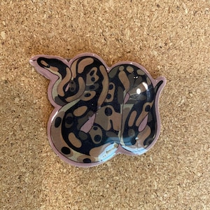 May include: A glossy sticker featuring a coiled ball python with a patterned skin of dark brown, black, and tan blotches. The snake is depicted in a curled position with a light pink border outlining its shape against a smooth, reflective surface.