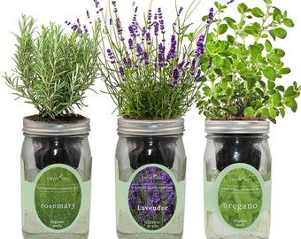 Herb Garden Trio - Mason Jar Hydroponic Kit Set (Rosemary, Lavender, Oregano), Gardening Gift