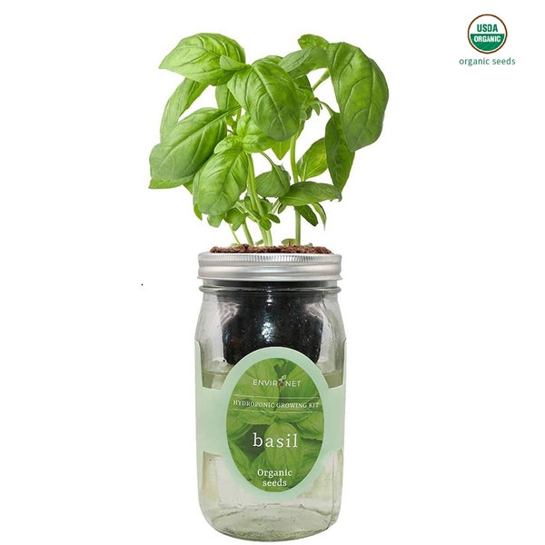 Mason Jar Hydroponic Herb Kit with Organic Seeds, Gardening Gift