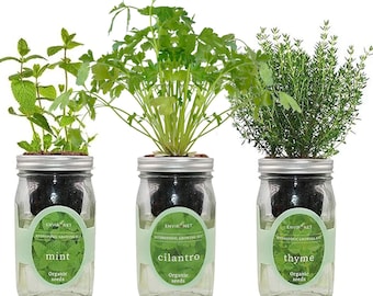 Herb Garden Trio - Mason Jar Hydroponic Kit Set with Organic Seeds, Gardening Gift