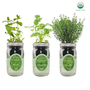 Herb Garden Trio - Mason Jar Hydroponic Kit Set with Organic Seeds, Gardening Gift