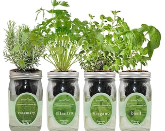 Mediterranean Herb Mix Garden Bundle- Mason Jar Hydroponic Kit Set with Organic Seeds (Rosemary, Cilantro, Oregano, Basil)