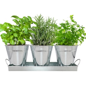 Herb Garden Kit - Complete Herb Growing Kit Set with Planters, Seeds, Soil Wafers and Tray.