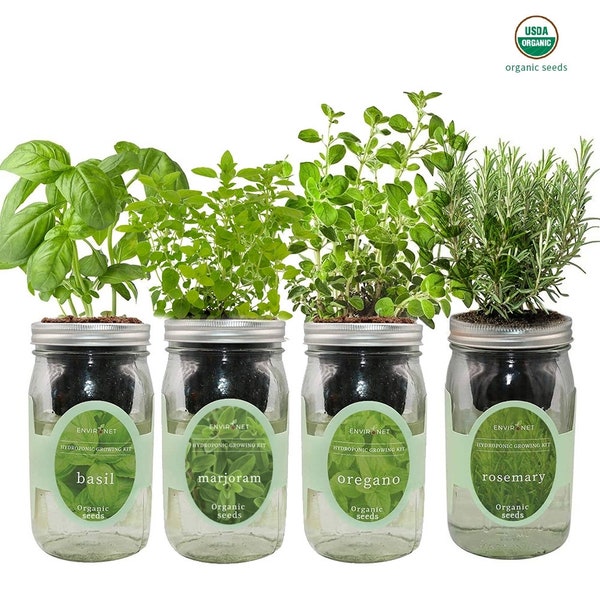 Italian Herb Blend Garden Bundle- Mason Jar Hydroponic Kit Set with Organic Seeds (Basil, Marjoram, Oregano, Rosemary), Gardening Gift