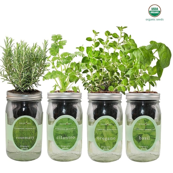 Mediterranean Herb Mix Garden Bundle- Mason Jar Hydroponic Kit Set with Organic Seeds (Rosemary, Cilantro, Oregano, Basil)
