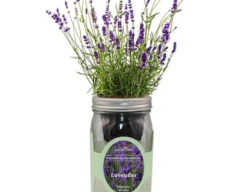 Mason Jar Hydroponic Herb Kit, Gardening Gift