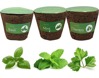 3 Inches Preseeded Plug, 3 Pack(Basil, Mint, Cilantro)