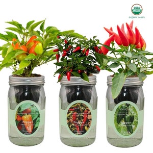 Mason Jar Hydroponic Kit Set with Organic Seeds (Sweet Pickle Pepper, Sweet Nardello Pepper, Jalapeno Early Pepper), Gardening Gift