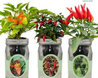 Mason Jar Hydroponic Kit Set with Organic Seeds (Sweet Pickle Pepper, Sweet Nardello Pepper, Jalapeno Early Pepper), Gardening Gift