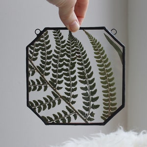 Glass pressed flower frame - Fern - Real leaf - Handmade