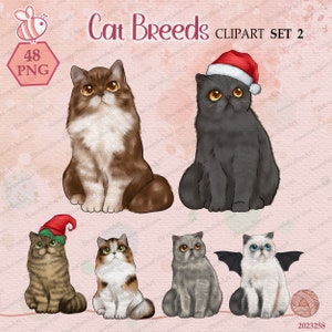 Cat Sitting Clipart set 2, Cat breeds clipart, Pet lovers clipart, long-haired coat, Cute Animals Illustration