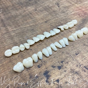 Pode incluir: Um conjunto de dentes falsos dispostos sobre uma superfície de madeira. Os dentes são de cor branco-sujo e variam em tamanho e forma, incluindo incisivos, caninos e molares. O texto "US Props & Effects Fake Teeth Set" está na parte inferior.
