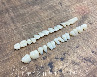 Fake Teeth