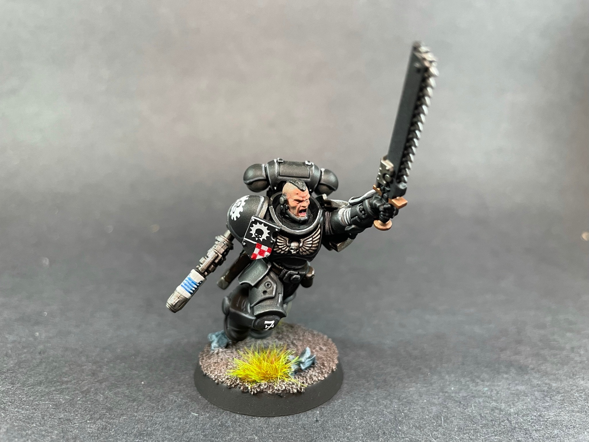 First of a few Space Wolves primaris intercessors with custom