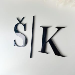 Adorno de pastel de acrílico con iniciales, adorno de pastel de acrílico con letras, adorno de pastel de bodas personalizado, decoración de pastel de bodas personalizada,