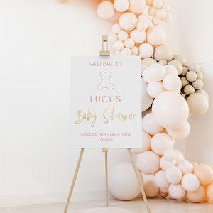 Aangepaste welkomstbord van acryl, bewegwijzering babyshower, gepersonaliseerde bewegwijzering babyshower, themafeest teddybeer, welkomstdecor doop, roze