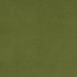 Fabric Shannon Cactus 90" Extra Wide Solid Cuddle 3 by the Quarter Yard C390-CACTUS