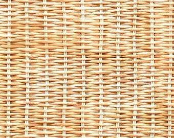 Fabric Michael Miller Straw Wickerwork 108" Wide Back by the Quarter Yard WBX12440-STRA-D