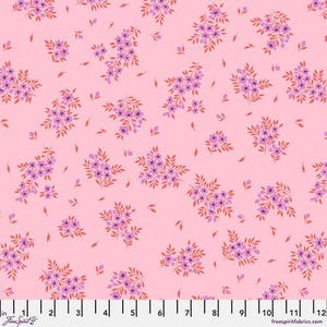 Fabric FreeSpirit Tula Pink Pink Lemonade What a Ditz by the Quarter Yard PWTP253.PINKLEMONADE