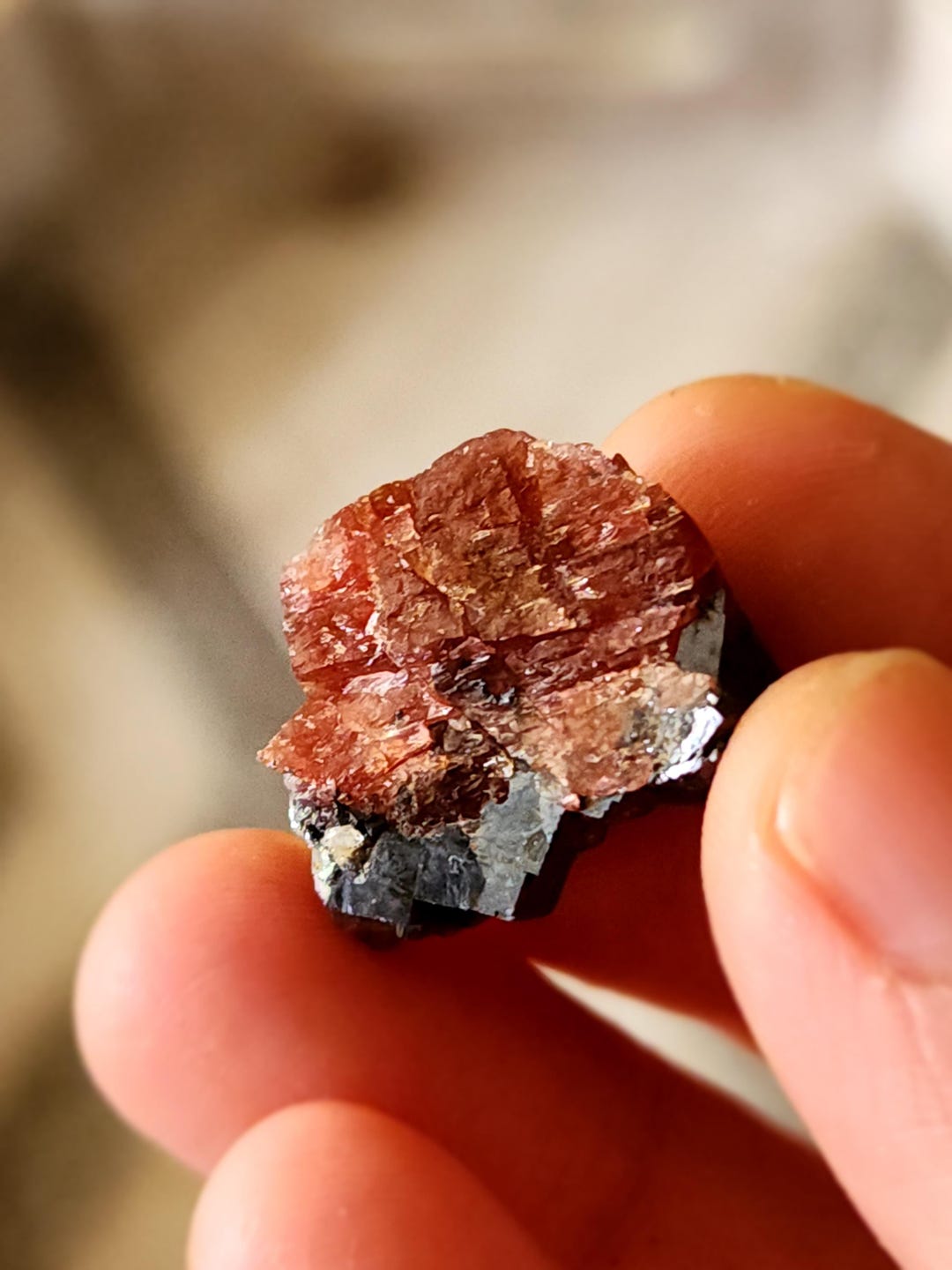 RARE Specimen!!! Australian Red Rhodonite in Galena | Ethically Sourced ...