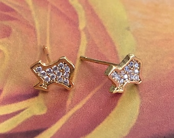 Texas State Earrings, Mini, Tiny, Gold Dipped, Texas Earrings, Stud, Cubic Zirconia, Texas Earrings, Organic Packaging, Go Green by APCTexas
