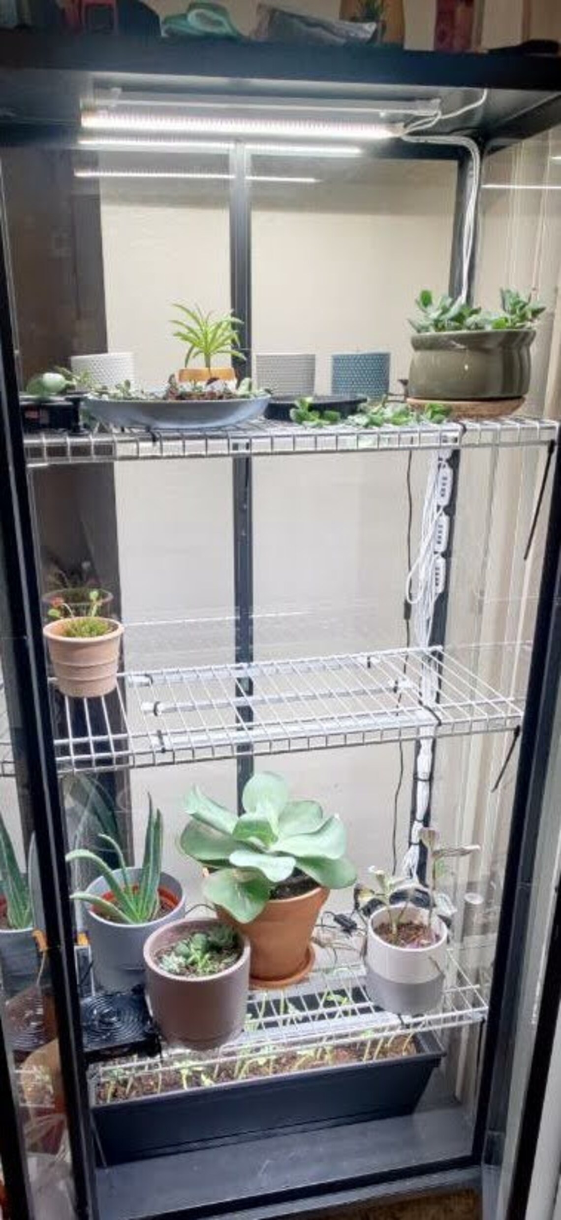 Tall Milsbo Wire Shelf for Ikea Greenhouse Etsy
