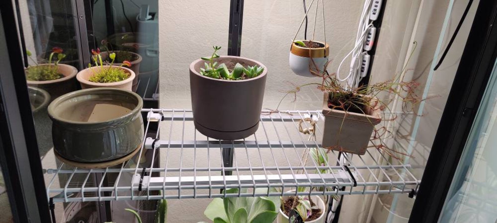 Tall Milsbo Wire Shelf for Ikea Greenhouse Etsy