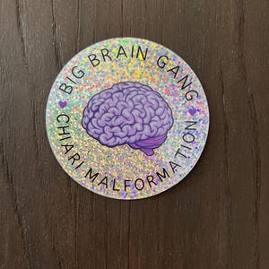 May include: A round, iridescent sticker with a purple brain illustration and the text "BIG BRAIN GANG CHARIMALFORMATION" in black.