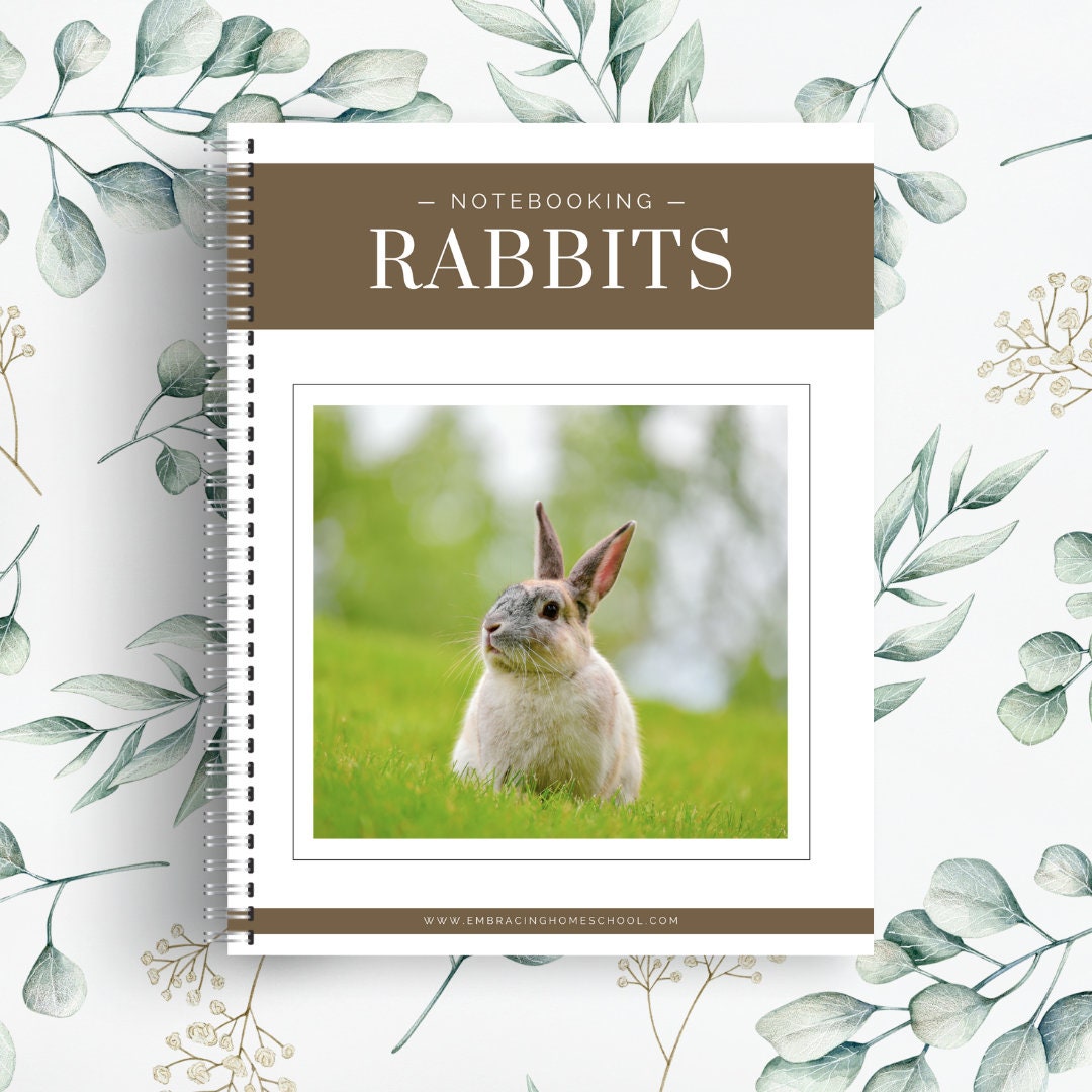 Rabbits Notebooking Pages | 27 Printable Pages - Etsy