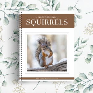 Könnte beinhalten: Ein Notizbuchcover mit dem Titel "Notebooking - Squirrels" und einem Foto eines braunen Eichhörnchens, das auf einem Ast im Schnee sitzt. Die Website "www.embracinghomeschool.com" ist unten auf dem Cover gedruckt.