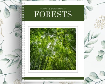 Forests Notebooking Pages | 27 Printable Pages