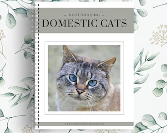 Domestic Cats Notebooking Pages | 27 Printable Pages