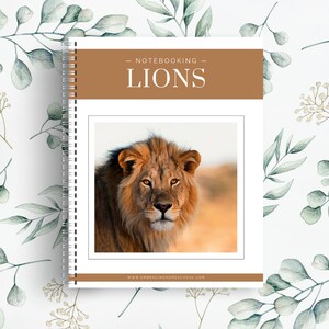 Lion Notebooking Pages | 27 Printable Pages