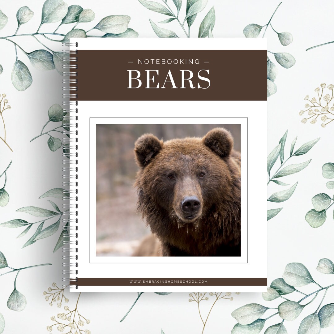 Bears Notebooking Pages | 27 Printable Pages - Etsy