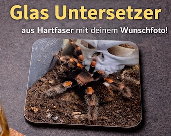 Personalisierter Glasuntersetzer mit Terraristik Foto | Hartfaser 9x9 cm | Geschenk für Spinnen, Reptilien & Exoten Fans