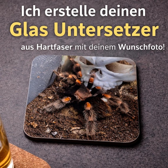 Personalized glass coaster with terrarium photo | Hardboard 9 x 9 cm | Gift for spider, reptile & exotic animal fans