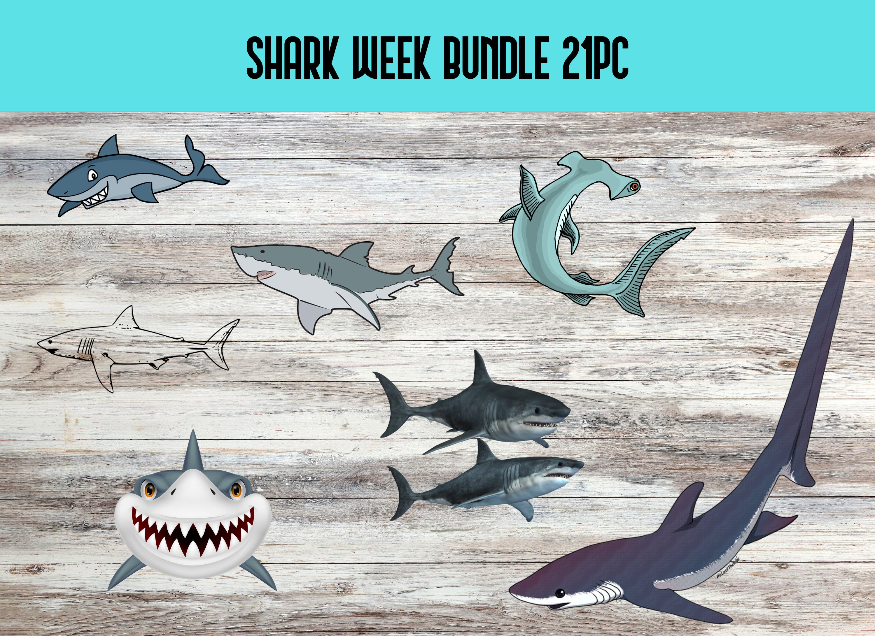 Fantasy Sharks Week 1 Projections - dfxwooy