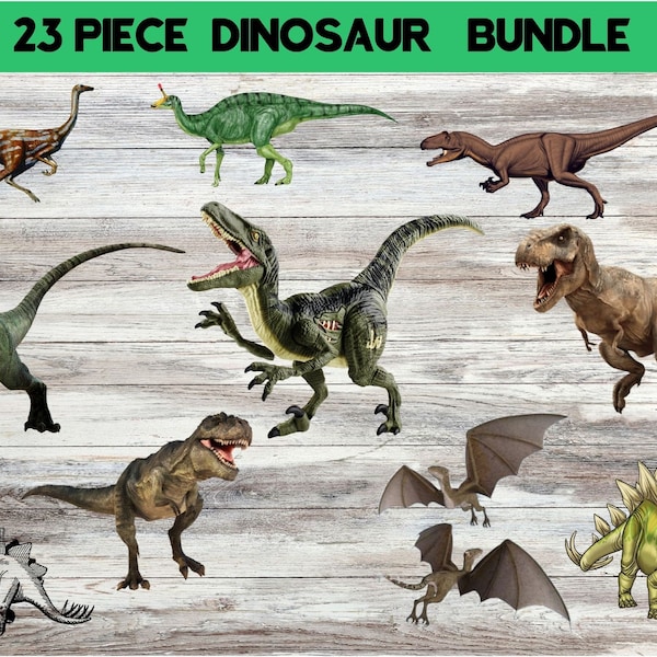 REALISTIC DINOSAUR digital file BUNDLE, t-rex, triceratops, dinosaur png files, dino png, printable dinosaur designs, instant download