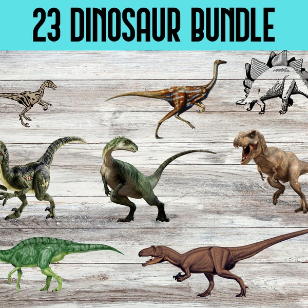 REALISTIC DINOSAUR Digital File BUNDLE, T-rex, Triceratops, Dinosaur Png File, Realistic Dino Clipart,  Brontosaurus