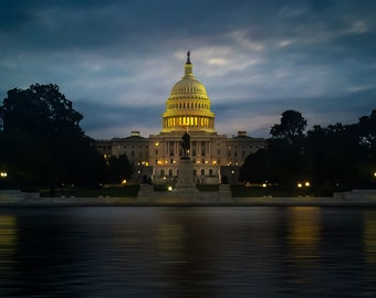 US Capitol Building in Washington DC at Sunrise with Flowers